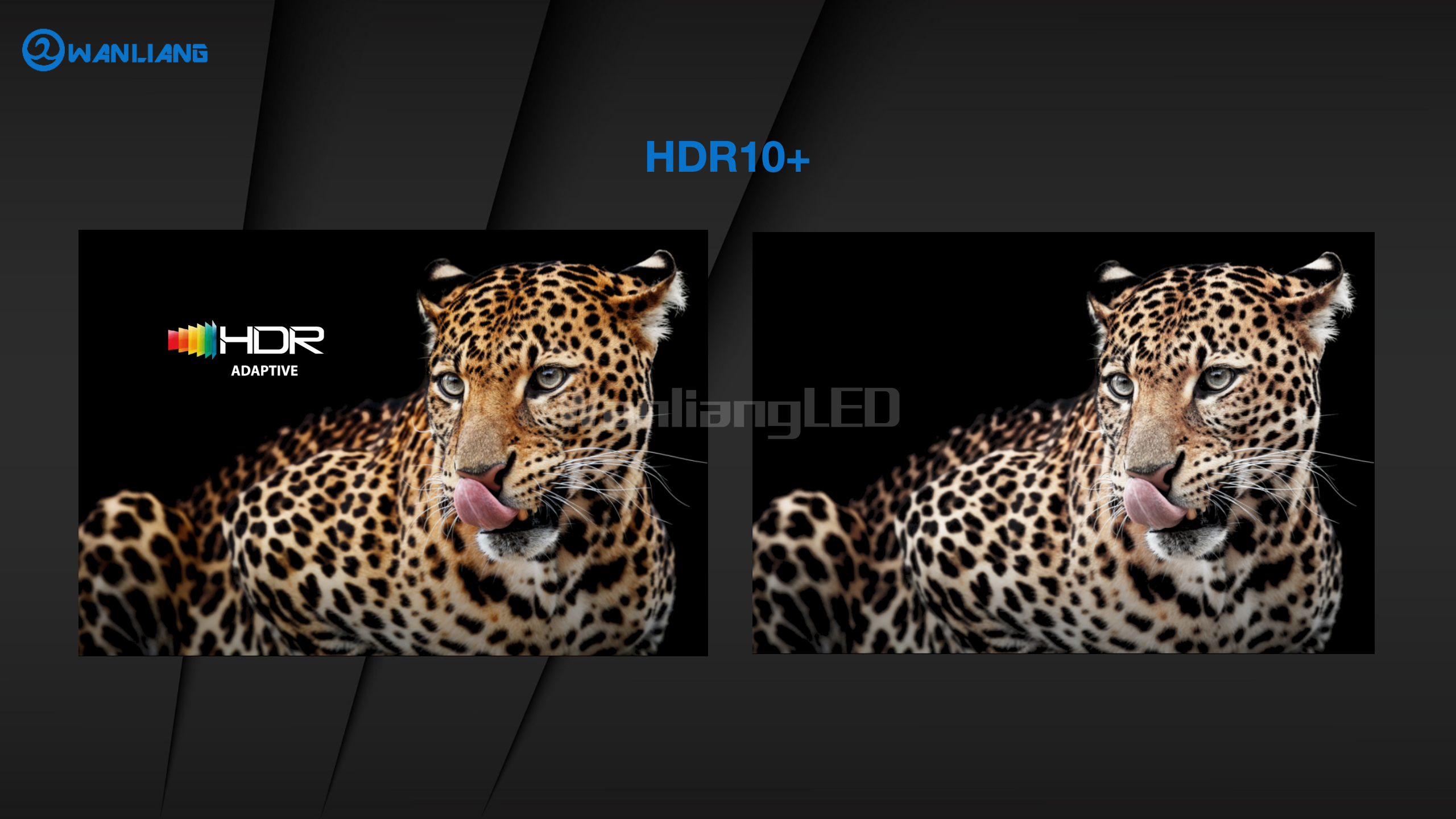 1726146686.png i Series-Novo-V020231205-网页_01(1).png
